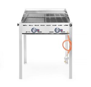 Green Fire barbecue con 2 bruciatori