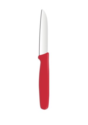 Coltello per verdure.