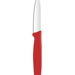 Coltello per verdure appuntito.