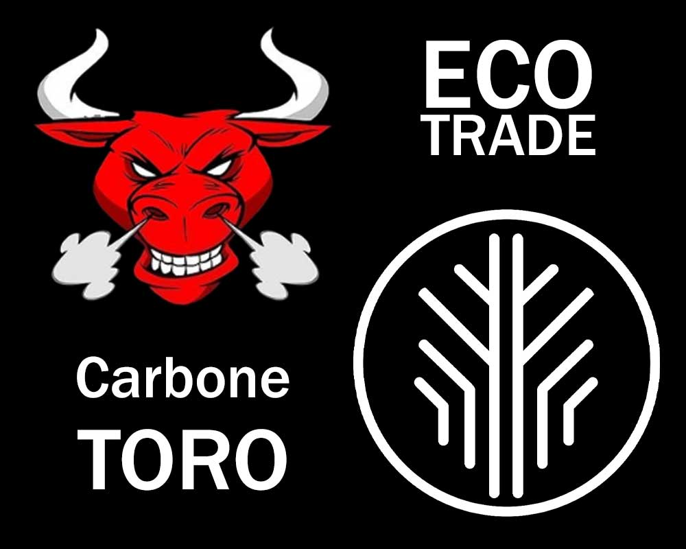 Partnership